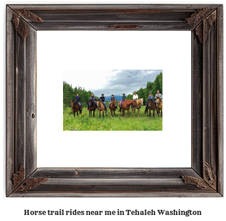 horse trail rides near me in Tehaleh, Washington